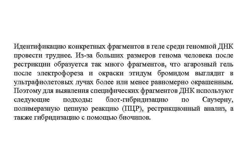 Идентификацию конкретных фрагментов в геле среди геномной ДНК провести труднее. Из-за больших размеров генома