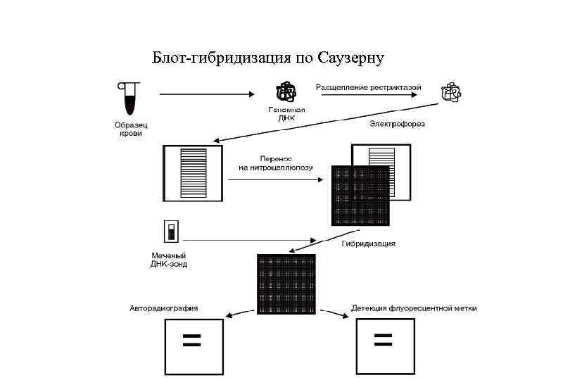 Карты блот