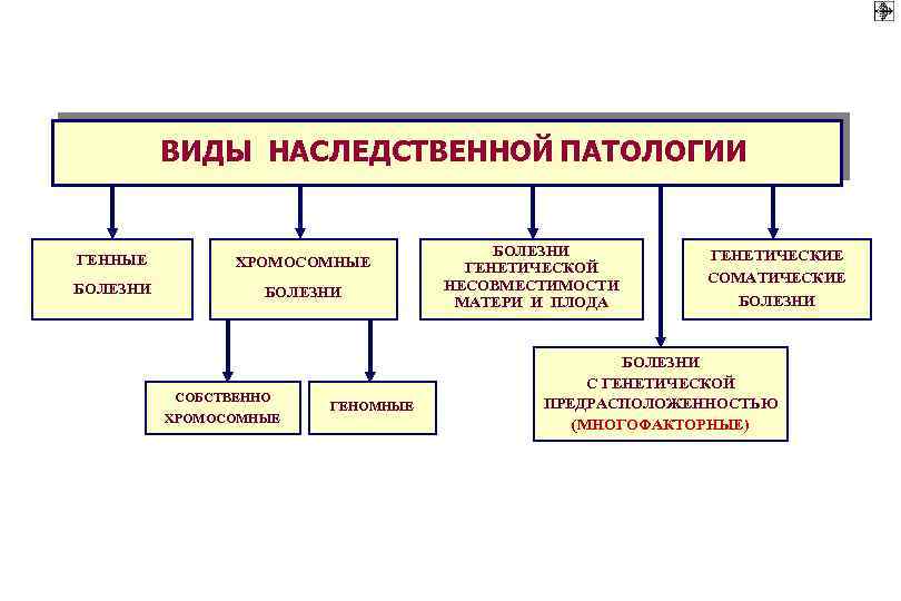 Классификация наследственных заболеваний схема