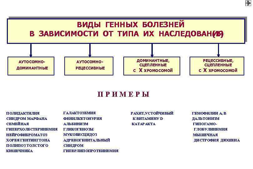 Предупреждение и лечение некоторых наследственных болезней человека биология 10 класс презентация