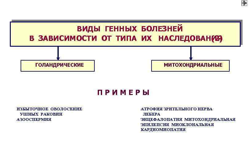 ВИДЫ ГЕННЫХ БОЛЕЗНЕЙ В ЗАВИСИМОСТИ ОТ ТИПА ИХ НАСЛЕДОВАНИЯ (2) ГОЛАНДРИЧЕСКИЕ МИТОХОНДРИАЛЬНЫЕ ПРИМЕРЫ ИЗБЫТОЧНОЕ