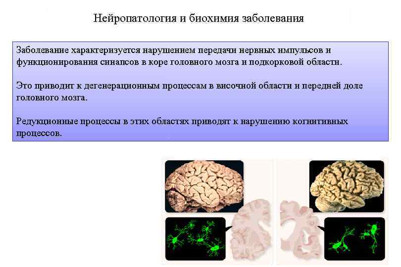 Наследственное заболевание мозга. Биохимия мозга. Биохимия заболевания. Нарушение биохимии мозга. Биохимические процессы в мозге.