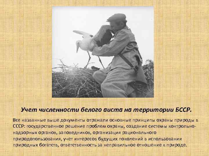 Учет численности белого аиста на территории БССР. Все названные выше документы отражали основные принципы