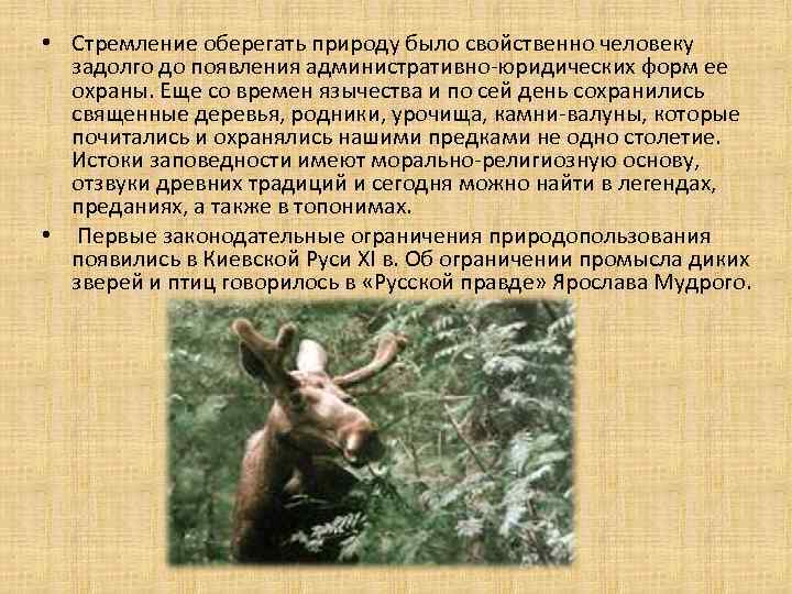  • Стремление оберегать природу было свойственно человеку задолго до появления административно-юридических форм ее