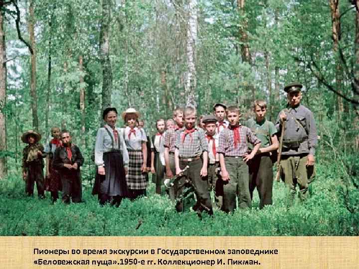 Пионеры во время экскурсии в Государственном заповеднике «Беловежская пуща» . 1950 -е гг. Коллекционер