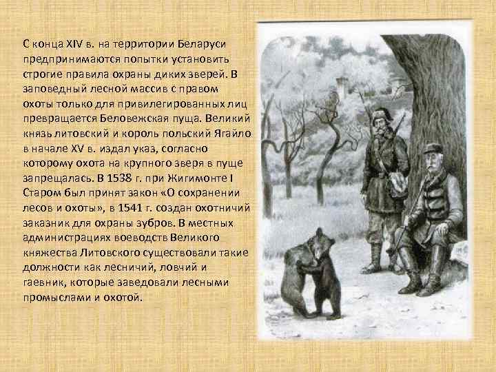 С конца XIV в. на территории Беларуси предпринимаются попытки установить строгие правила охраны диких