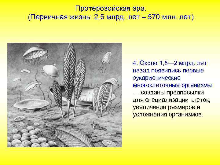 Протерозойская эра. (Первичная жизнь: 2, 5 млрд. лет – 570 млн. лет) 4. Около