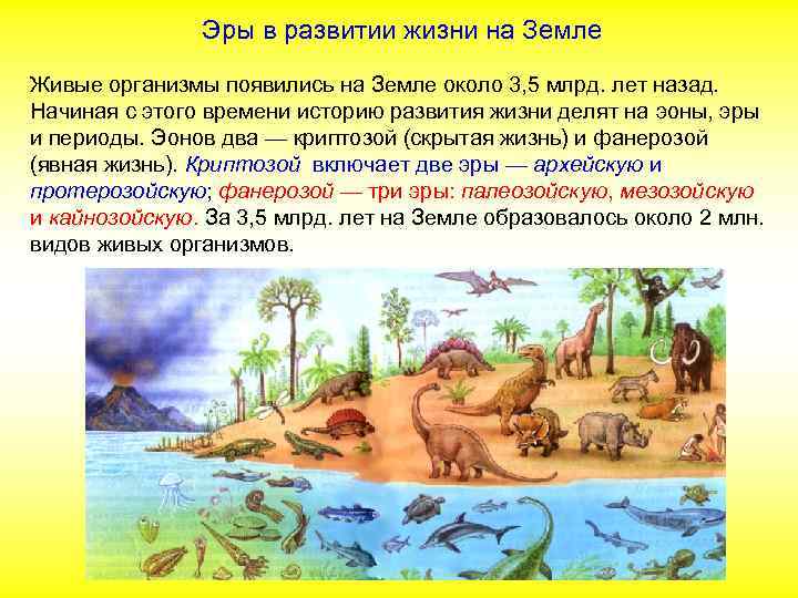 Эры в развитии жизни на Земле Живые организмы появились на Земле около 3, 5