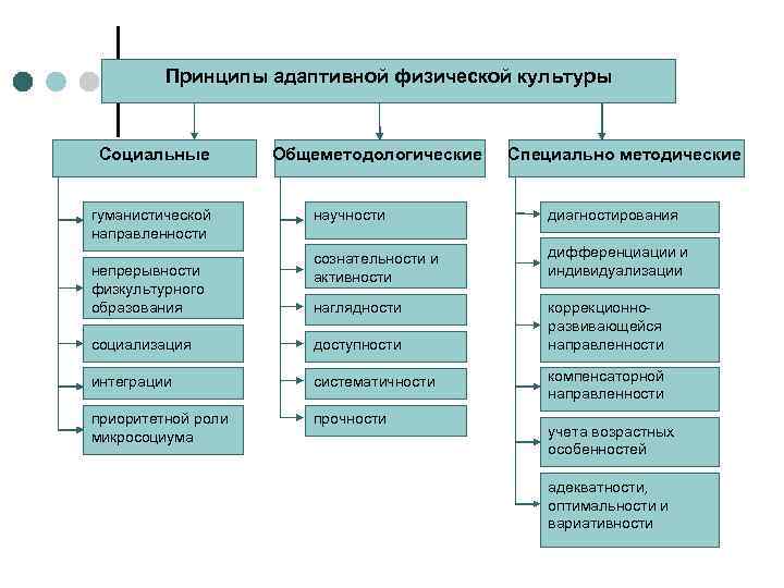 Принципы адаптивной физической культуры Социальные гуманистической направленности непрерывности физкультурного образования Общеметодологические Специально методические научности