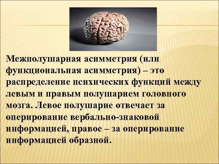 Межполушарная асимметрия (или функциональная асимметрия) – это распределение психических функций между левым и правым
