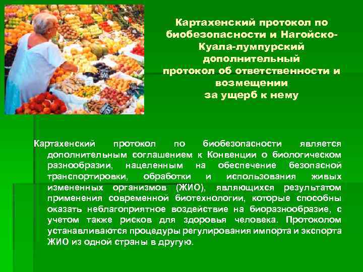 Картахенский протокол по биобезопасности и Нагойско. Куала-лумпурский дополнительный протокол об ответственности и возмещении за