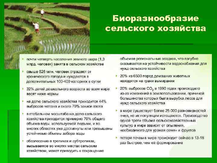 Биоразнообразие сельского хозяйства 