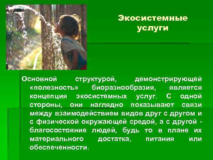 Экосистемные услуги Основной структурой, демонстрирующей «полезность» биоразнообразия, является концепция экосистемных услуг. С одной стороны,