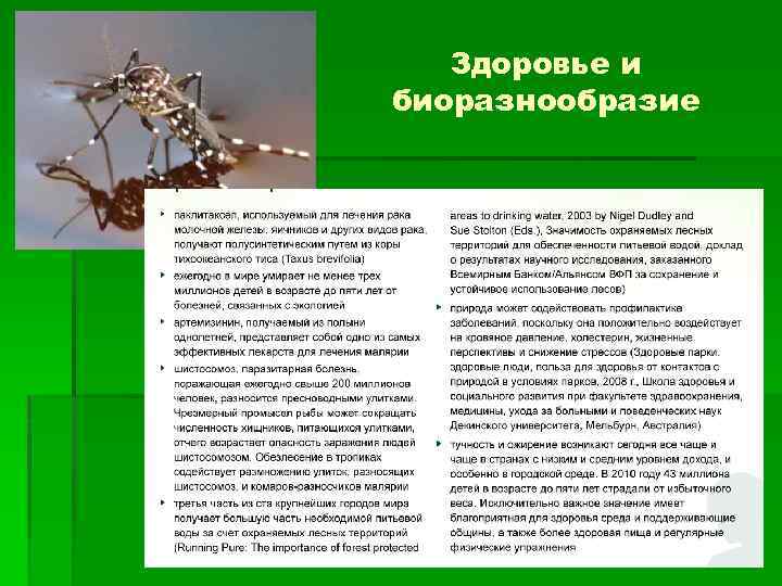 Здоровье и биоразнообразие 