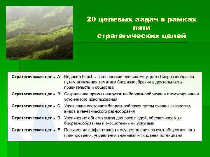 Человек по мнению автора является вещью проектом духовным субъектом биосоциальным существом