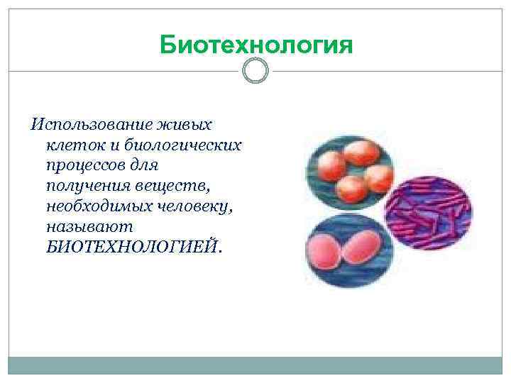 Биотехнология Использование живых клеток и биологических процессов для получения веществ, необходимых человеку, называют БИОТЕХНОЛОГИЕЙ.
