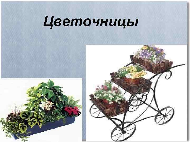 Цветочницы 