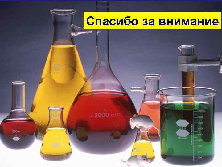 Спасибо за внимание 