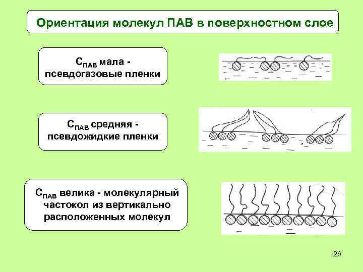 Ориентация молекул ПАВ в поверхностном слое СПАВ мала псевдогазовые пленки СПАВ средняя псевдожидкие пленки