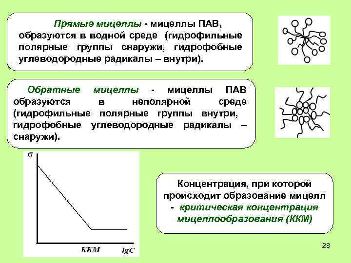 Прямые мицеллы - мицеллы ПАВ, образуются в водной среде (гидрофильные полярные группы снаружи, гидрофобные