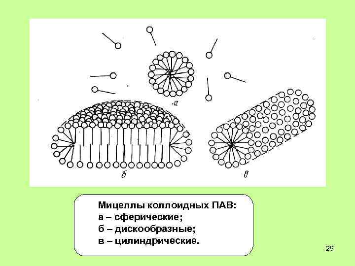 Мицеллы коллоидных ПАВ: а – сферические; б – дискообразные; в – цилиндрические. 29 