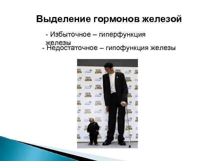 Выделение гормонов железой - Избыточное – гиперфункция железы - Недостаточное – гипофункция железы 