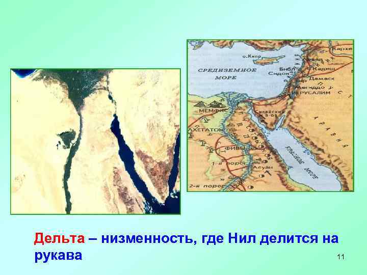 Дельта – низменность, где Нил делится на 11 рукава 