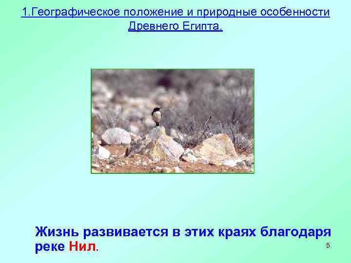 1. Географическое положение и природные особенности Древнего Египта. Жизнь развивается в этих краях благодаря