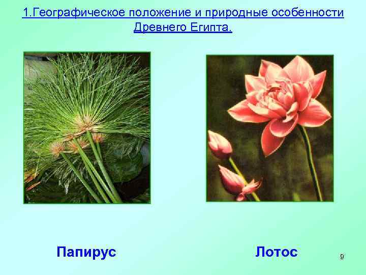 1. Географическое положение и природные особенности Древнего Египта. Папирус Лотос 9 