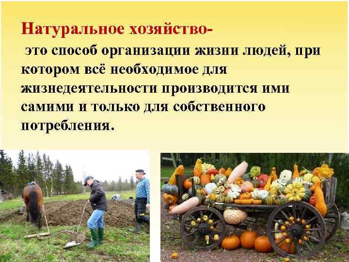 Натуральное хозяйствоэто способ организации жизни людей, при котором всё необходимое для жизнедеятельности производится ими