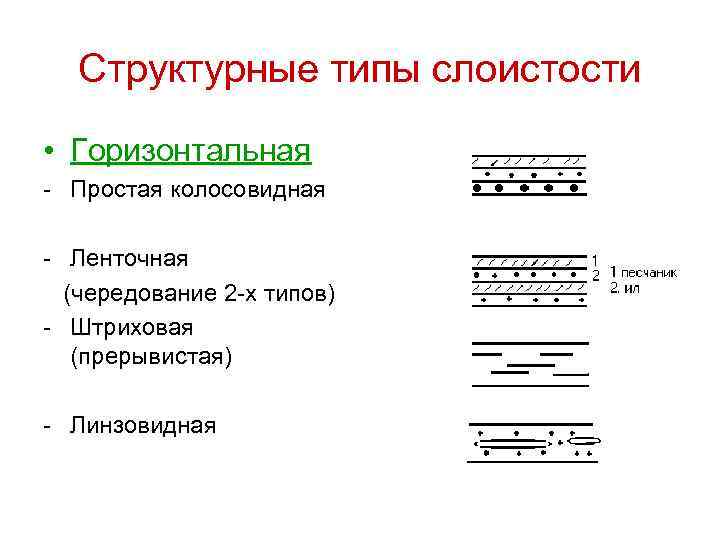 Структурные типы слоистости • Горизонтальная - Простая колосовидная - Ленточная (чередование 2 -х типов)