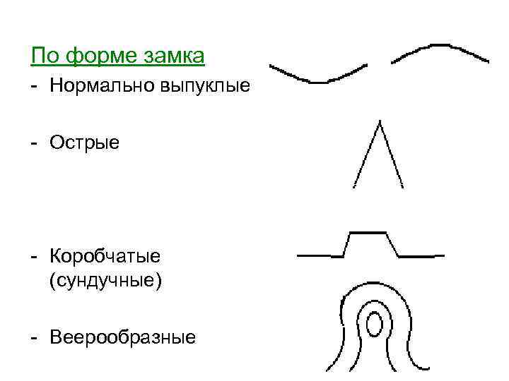 По форме замка - Нормально выпуклые - Острые - Коробчатые (сундучные) - Веерообразные 