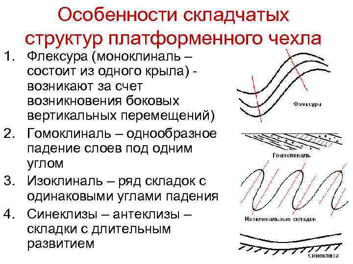 Особенности складчатых структур платформенного чехла 1. Флексура (моноклиналь – состоит из одного крыла) -