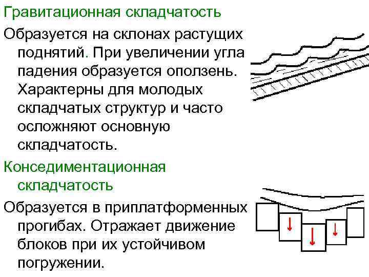 Гравитационная складчатость Образуется на склонах растущих поднятий. При увеличении угла падения образуется оползень. Характерны