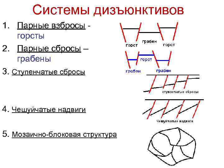 Системы дизъюнктивов 1. Парные взбросы - горсты 2. Парные сбросы – грабены 3. Ступенчатые