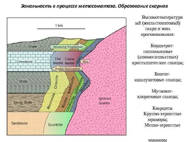 Схема абсорбции петрография