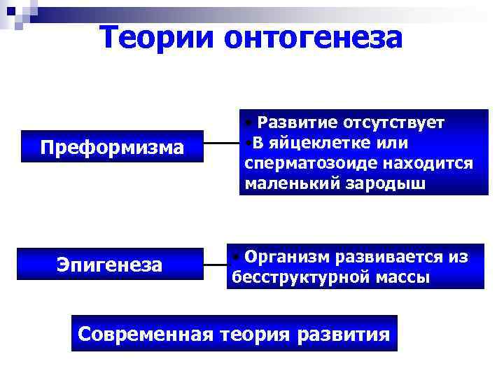 Формирование в онтогенезе