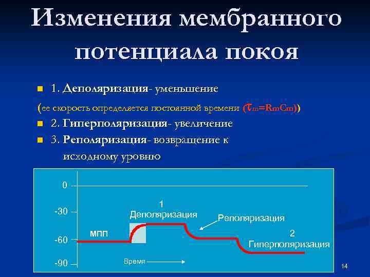 Изменения мембранного потенциала покоя n 1. Деполяризация- уменьшение (ее скорость определяется постоянной времени (tm=Rm.