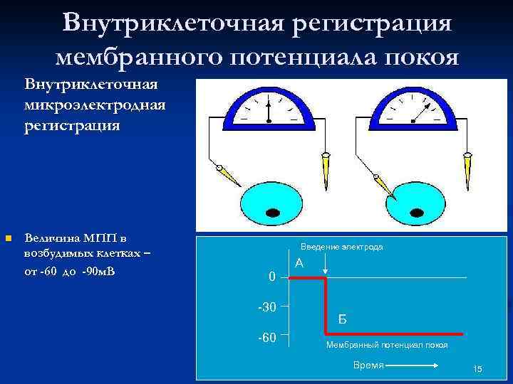 Внутриклеточная регистрация мембранного потенциала покоя Внутриклеточная микроэлектродная регистрация n Величина МПП в возбудимых клетках