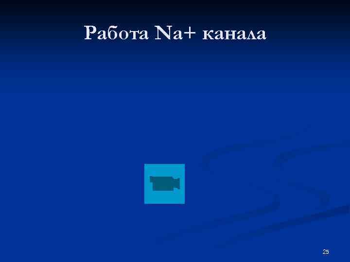 Работа Na+ канала 25 