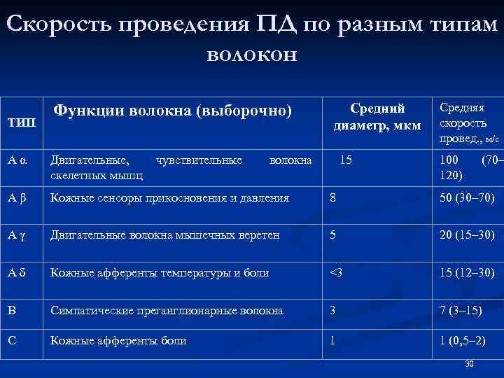 Скорость проведения ПД по разным типам волокон ТИП Функции волокна (выборочно) чувствительные Средний диаметр,