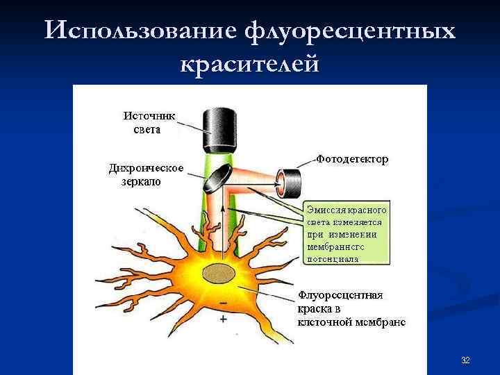 Использование флуоресцентных красителей 32 