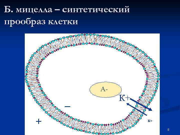 Б. мицелла – синтетический прообраз клетки А- _ + К+ К+ 8 