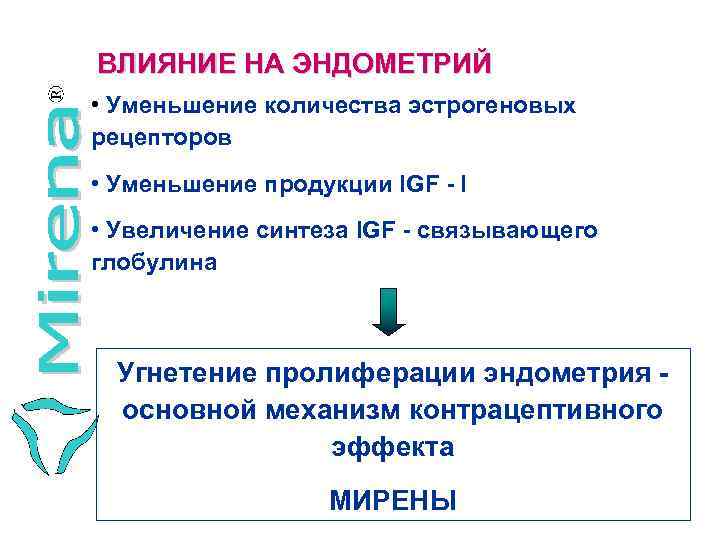 ВЛИЯНИЕ НА ЭНДОМЕТРИЙ • Уменьшение количества эстрогеновых рецепторов • Уменьшение продукции IGF - I