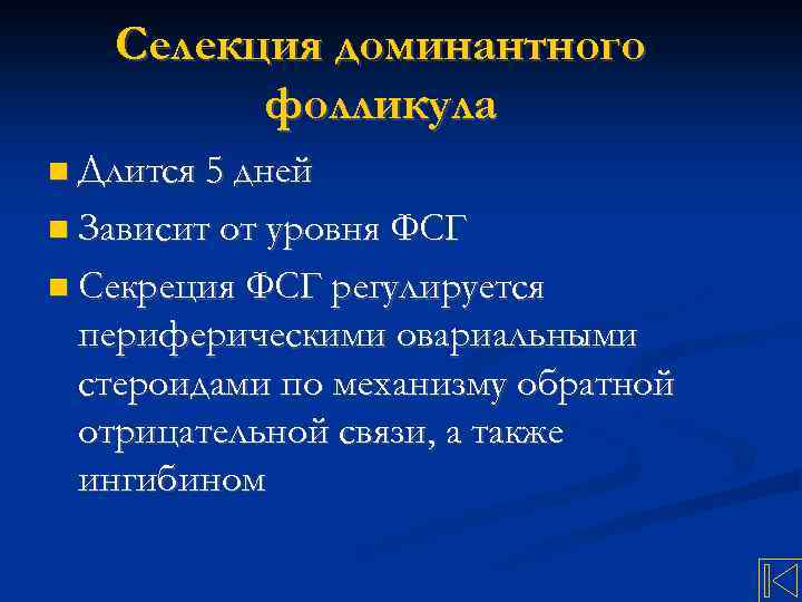 Селекция доминантного фолликула Длится 5 дней Зависит от уровня ФСГ Секреция ФСГ регулируется периферическими