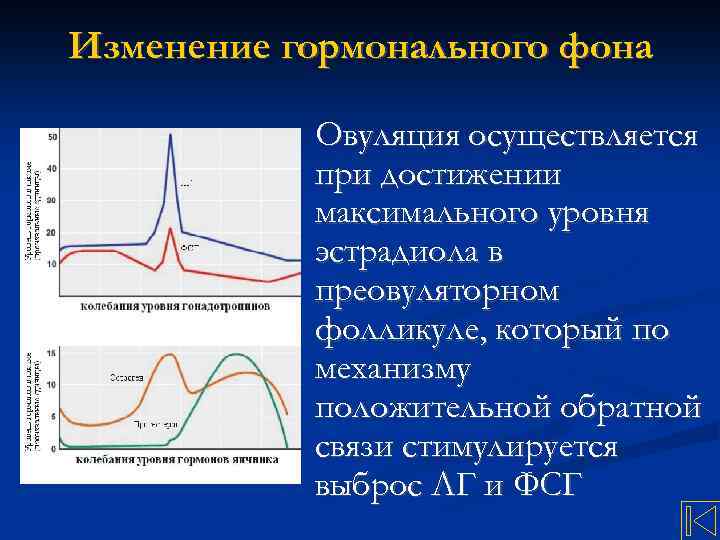 Изменение гормонального фона Овуляция осуществляется при достижении максимального уровня эстрадиола в преовуляторном фолликуле, который