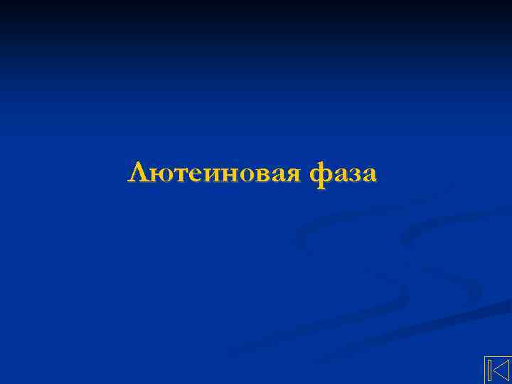 Лютеиновая фаза 