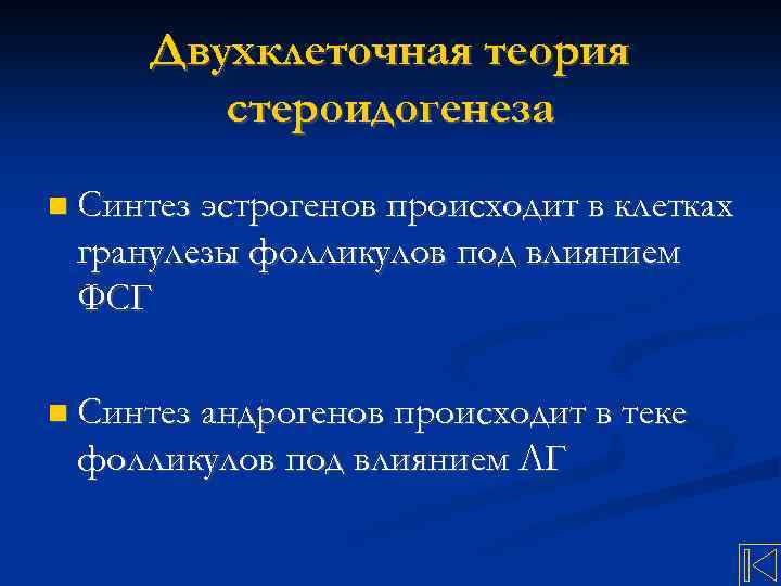 Двухклеточная теория стероидогенеза Синтез эстрогенов происходит в клетках гранулезы фолликулов под влиянием ФСГ Синтез