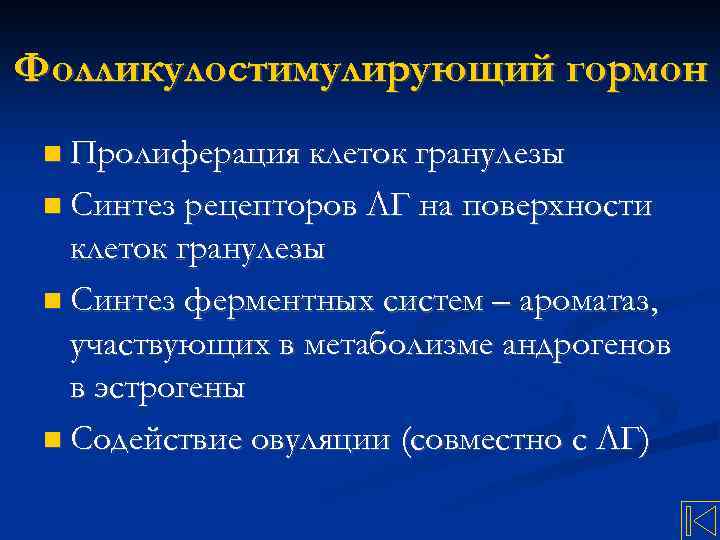 Фолликулостимулирующий гормон Пролиферация клеток гранулезы Синтез рецепторов ЛГ на поверхности клеток гранулезы Синтез ферментных