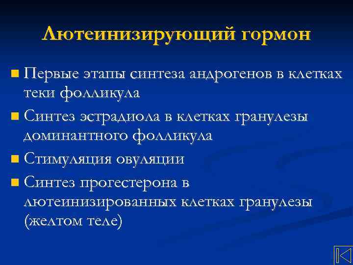 Лютеинизирующий гормон Первые этапы синтеза андрогенов в клетках теки фолликула Синтез эстрадиола в клетках
